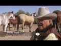 The Ride with Cord McCoy: Harry Vold the "Duke of the Chutes"