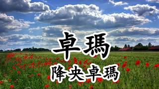 卓瑪 - 降央卓瑪 - 妳有壹個花的名字 美麗姑娘卓瑪拉,妳有壹個花的笑容 美麗姑娘卓瑪拉【2019抖音熱門歌曲】