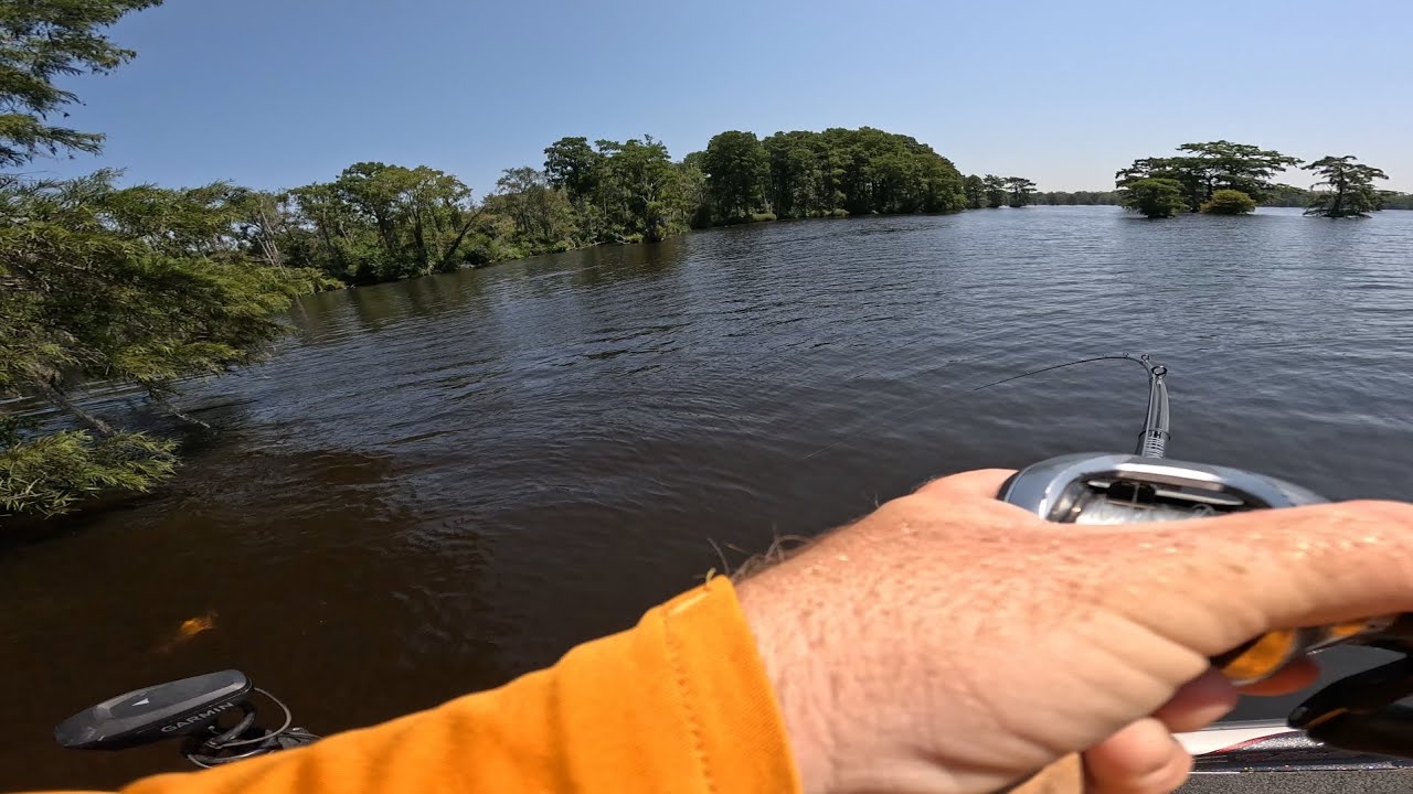 Fishing a TOUGH summer Bass tournament on the Chowan River.. Can we win some $$$?