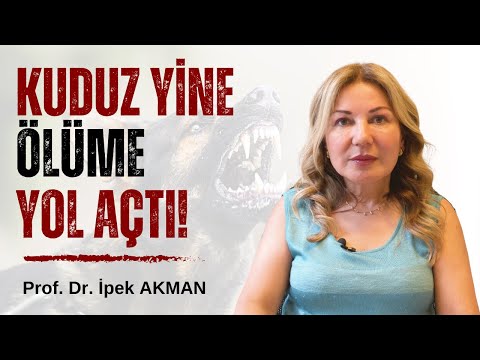 Kuduz Yine Ölüme Yol Açtı | Kuduz Riski Taşıyan İle Teması Olanlar Ne Yapmalı?