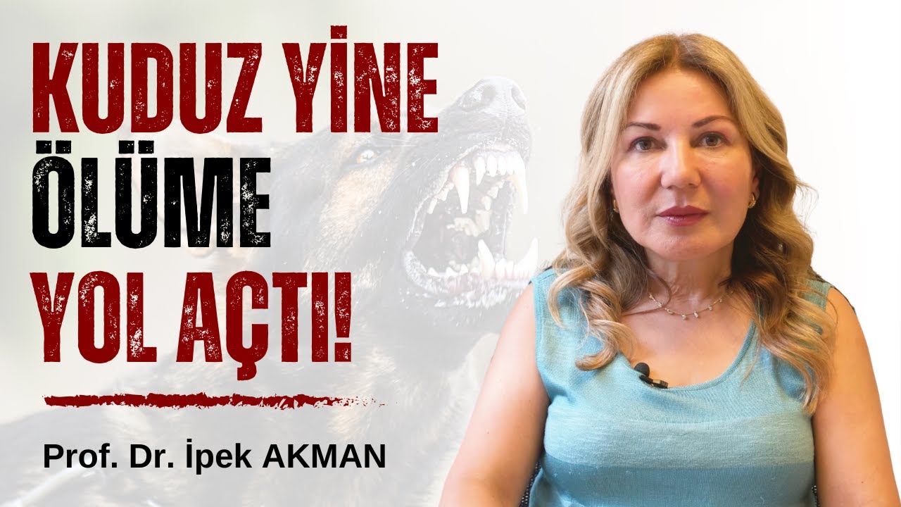 Kuduz Yine Ölüme Yol Açtı | Kuduz Riski Taşıyan İle Teması Olanlar Ne Yapmalı?