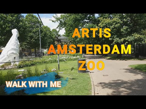 Artis Amsterdam Zoo - Walk With Me