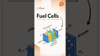 Fuel Cells
