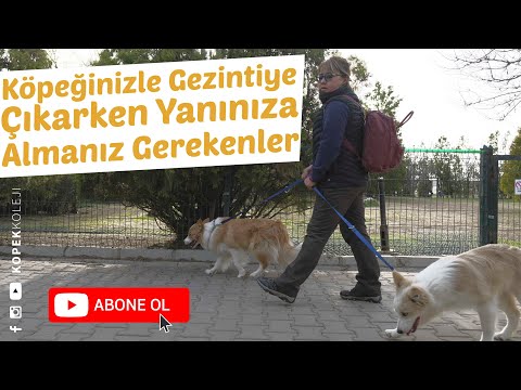 Video: Bir Iş Gezisinde Yanınıza Almanız Gerekenler