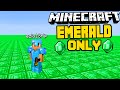 I Beat Minecraft in Emerald Only World (Hindi) Too Crazy Speedrun!!