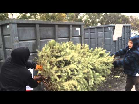 Christmas Tree Recycling