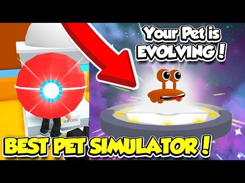 This New Pet Simulator Will Change Pet Games Forever Roblox Youtube - this new game was made by the pet simulator creators roblox