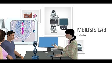Labster Virtual Lab: Meiosis Simulation