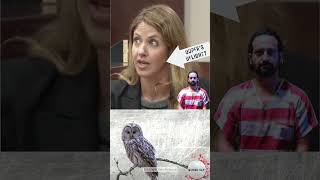 "The Gainesville argument" - Jeffrey LaCasse on Wendi Adelson; Dan Markel Case. #shorts