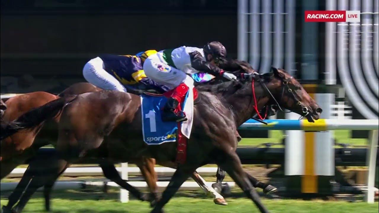 🔥MR BRIGHTSIDE (NZ)🔥 - 2024 C.F. Orr Stakes (3YO+ G1) Group 1 Caulfield 10 February - 100th Running