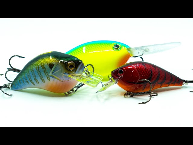 Summer Crankbaits: Everything You Need To Know! ( Shallow