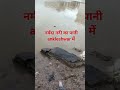 नर्मदा नदी का पानी ankleshwar तक