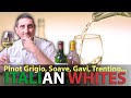 Northern Italian Wonders... Italy's Best White Wines Part.1