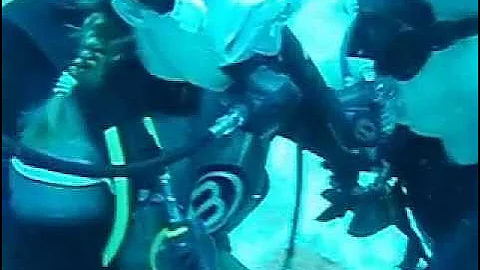 Dive proposal - Angela Metcalf and Geoffrey Jacobs