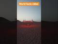 world Amazing facts #shortvideo #facts #ytshorts #travel #worldfacts #shortsfeed #shorts #viral