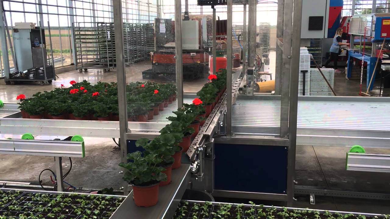 Neame Lea Horseshoe Development