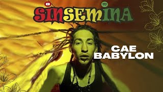 Video thumbnail of "SINSEMINA - Cae Babylon"