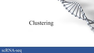 scRNA-seq: Clustering screenshot 5