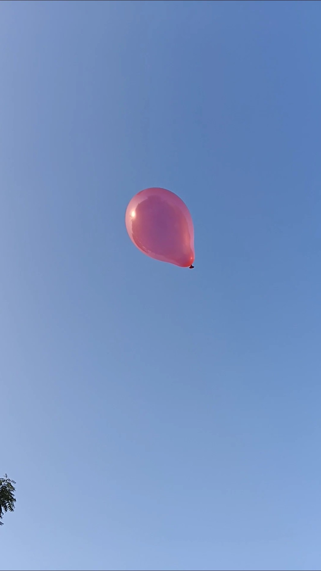 Balloon Aasman mein udi udi jaaye