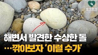 해변서 발견한 수상한 돌···깎아보자 '이럴 수가'