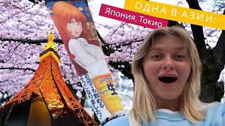 ОДНА В АЗИИ: ЯПОНИЯ, ТОКИО // ЯПОНСКИЕ УНИТАЗЫ, TOKYO TOWER, САКУРА // ЗАХОТЕЛА ОСТАТЬСЯ ЗА 9 ЧАСОВ