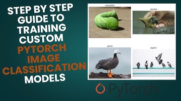 How to Train Custom Image Classification Models in PyTorch