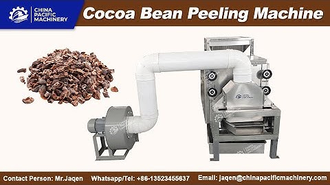 300-500 Kg/H Cocoa Beans Peeling Machine for Removing Roasted Cocoa Bean Skins in Pacific Workshop