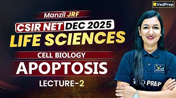CSIR NET Life Sciences Dec 2025 | Apoptosis Lecture 2 | Cell Biology | CSIR NET Dec 2025 |Manzil JRF
