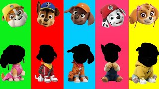 Wrong eyes👀 Paw Patrol Family Friendly Full Episodes - DAME TU COSITA Funny Puzzle Wrong Heads 2025
