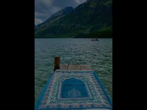 ولا تيأسوا من روح الله إنه لا ييأس من روح الله إلا القوم الكافرون