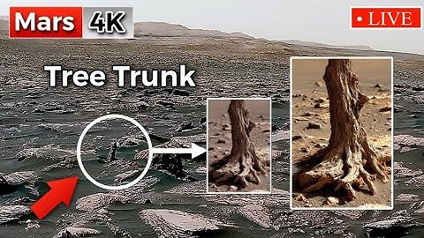 Perseverance Rover Sent Breathtaking 4K Video Footage of Mars Surface | NASA Mars Dsicoveries