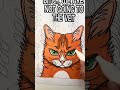 Hilarious cats coloring fun #cats #cattitude #fok #catmom #funnycats