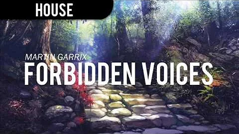Martin Garrix-Forbidden Voices