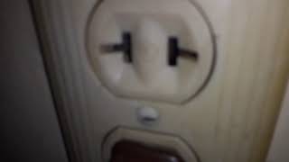 The buzzing outlet