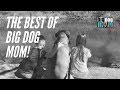 The BEST of Big Dog Mom and the NEW BigDogMom.com!!