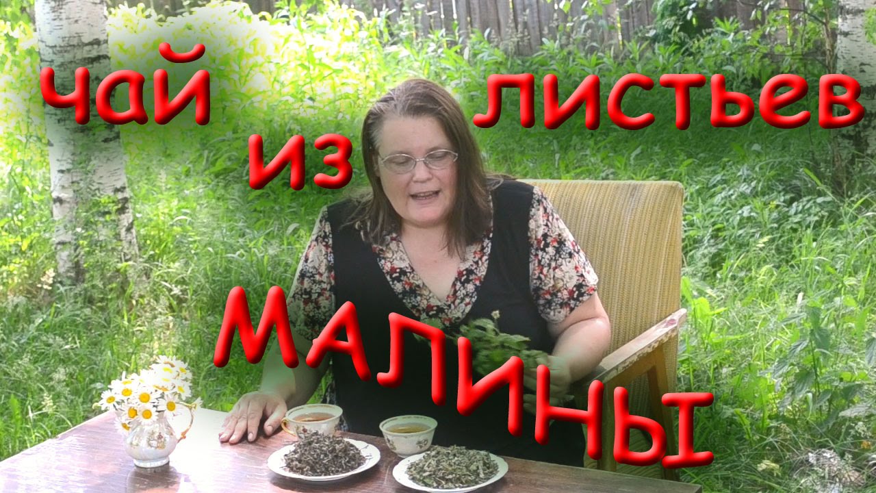 Чай из листьев малины