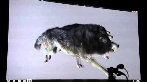 Demo ténica NVIDIA PhysX - The Witcher 3