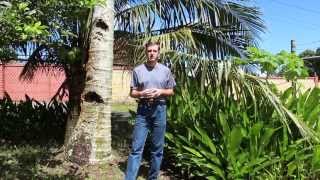 Pohnpei Update - Radio Station Part 1 Outside