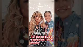 Download Lagu Komentar Pinkan Mambo tak diundang Maia di resepsi pernikahan Al Gazali #artis #shortvideo MP3 Download Lagu Komentar Pinkan Mambo tak diundang Maia di resepsi pernikahan Al Gazali #artis #shortvideo MP3