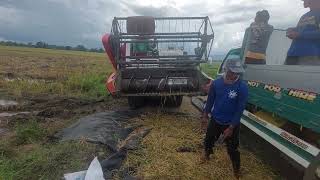 Crop Year 2022 Month of October part 4 | Bukidnon |