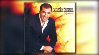 Zakir Zerel - Söyle Neden Resimi