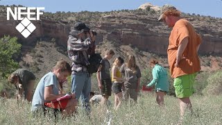 Greening STEM in Action: Experiential Education