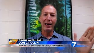 WHIO: Wright State biology professor talks about cicadas and what to expect when they arrive