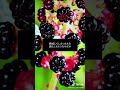 【TikTok総再生数1000万回】もうひとつの味覚　信じるか信じないかは あなた次第 #怖い話 #都市伝説 #信じようと信じまいと #shorts