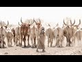 NCHI YENYE NG OMBE WENGI KULIKO WATU NCHI YENYE NG OMBE WENGI KULIKO WATU