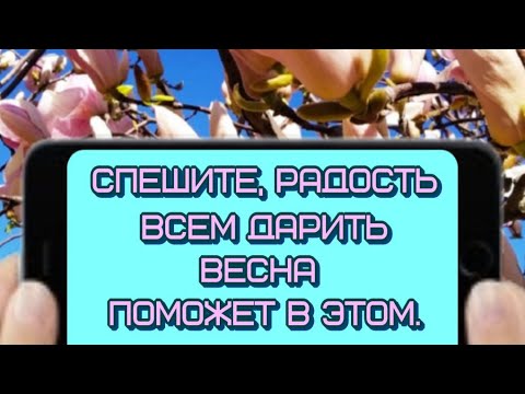 Спешите, РАДОСТЬ всем дарить🥰ПРЕКРАСНОГО ВЕСЕННЕГО ДНЯ 😁ЧУДЕСНОГО НАСТРОЕНИЯ 🎶Музыкальная открытка