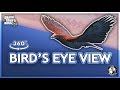 360° Bird&#39;s Eye View - A GTA VR Experience