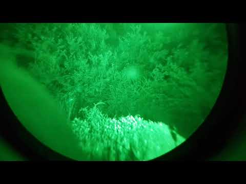 Gece görüş dùrbünû night vision