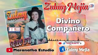 Zulmy Mejia Album Completo Solo Tu