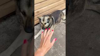 Why??? By Leisi Family